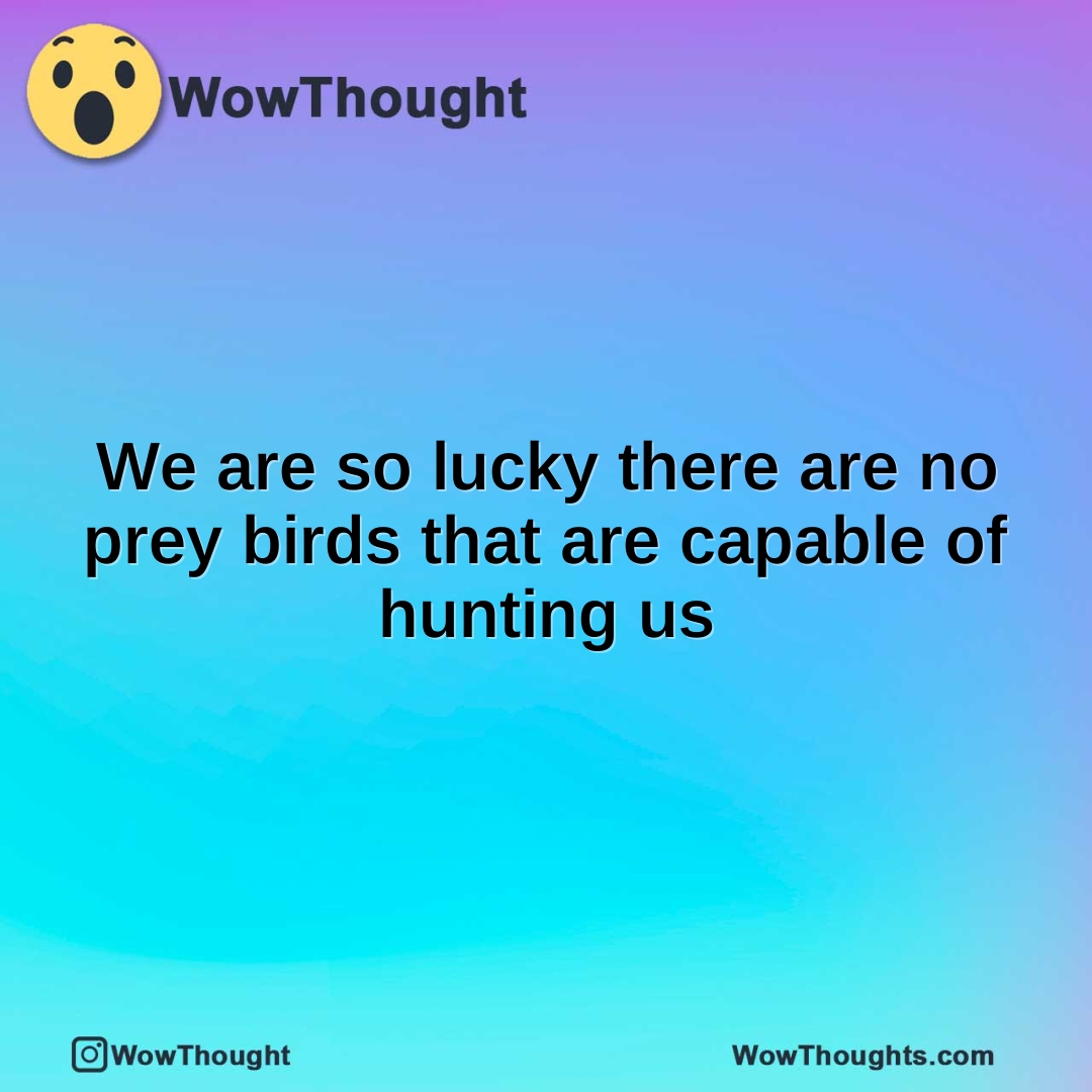 We are so lucky there are no prey birds that are capable of hunting us