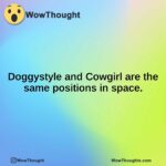 Doggystyle and Cowgirl are the same positions in space.