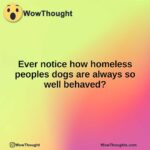 Ever notice how homeless peoples dogs are always so well behaved?