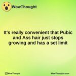 It’s really convenient that Pubic and Ass hair just stops growing and has a set limit