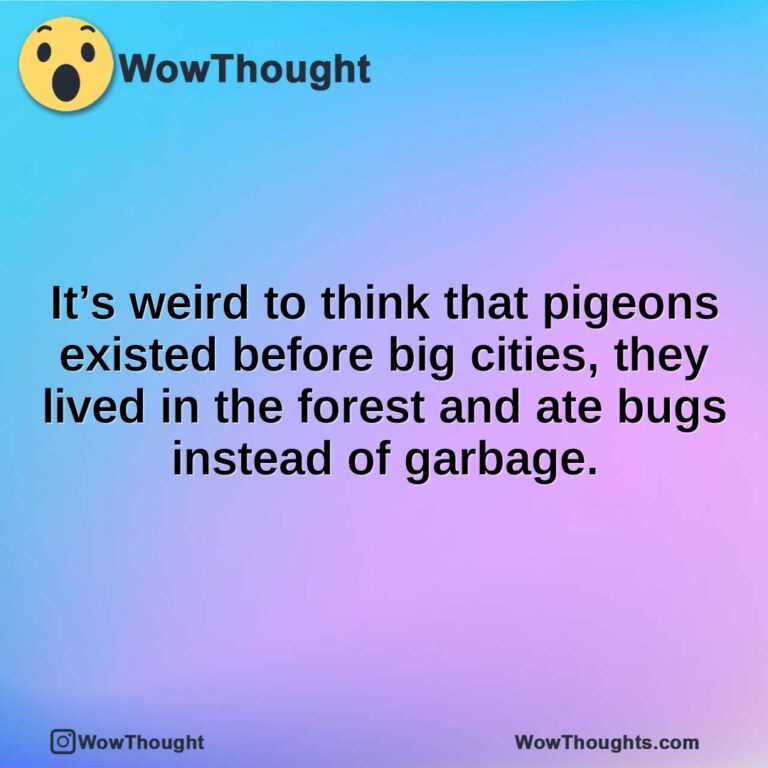 It’s weird to think that pigeons existed before big cities, they lived in the forest and ate bugs instead of garbage.