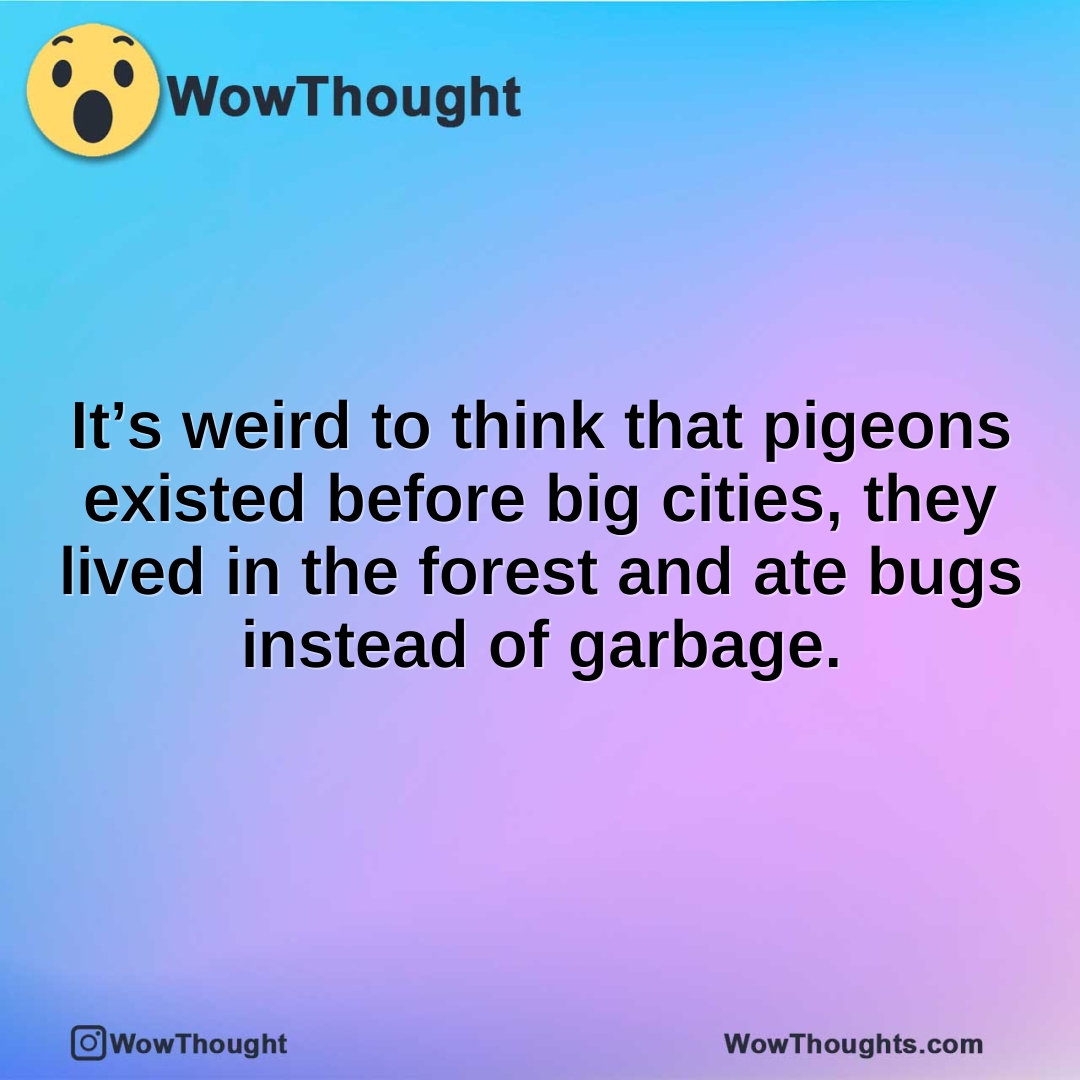 It’s weird to think that pigeons existed before big cities, they lived in the forest and ate bugs instead of garbage.