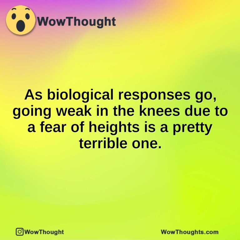 As biological responses go, going weak in the knees due to a fear of heights is a pretty terrible one.