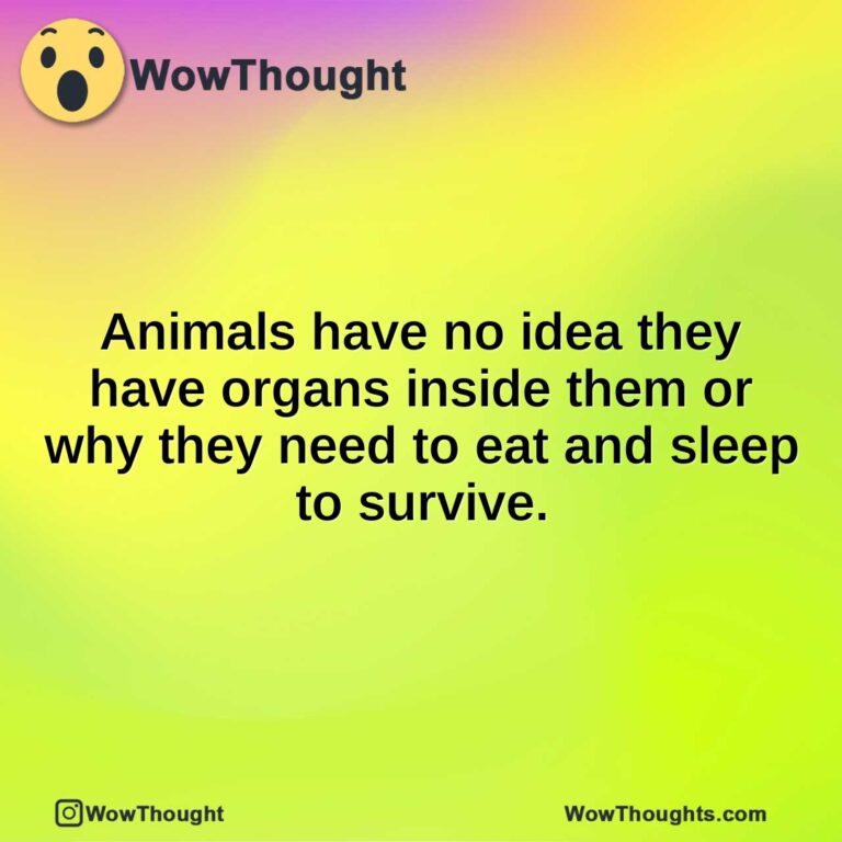 Animals have no idea they have organs inside them or why they need to eat and sleep to survive.