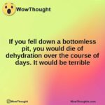 If you fell down a bottomless pit, you would die of dehydration over the course of days. It would be terrible