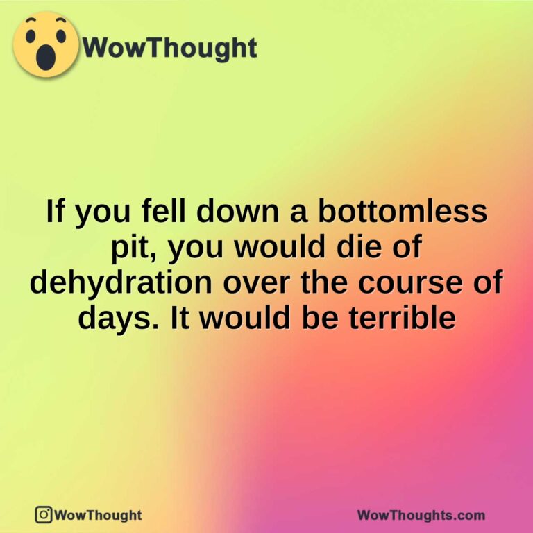 If you fell down a bottomless pit, you would die of dehydration over the course of days. It would be terrible