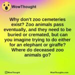 Why don’t zoo cemeteries exist? Zoo animals pass eventually, and they need to be buried or cremated, but can you imagine trying to do either for an elephant or giraffe? Where do deceased zoo animals go?