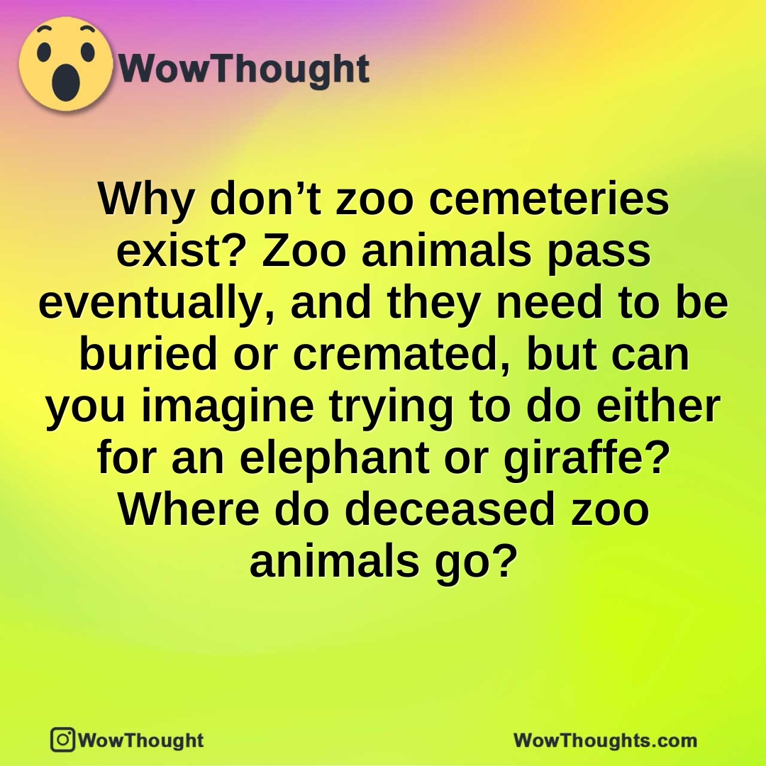 Why don’t zoo cemeteries exist? Zoo animals pass eventually, and they need to be buried or cremated, but can you imagine trying to do either for an elephant or giraffe? Where do deceased zoo animals go?
