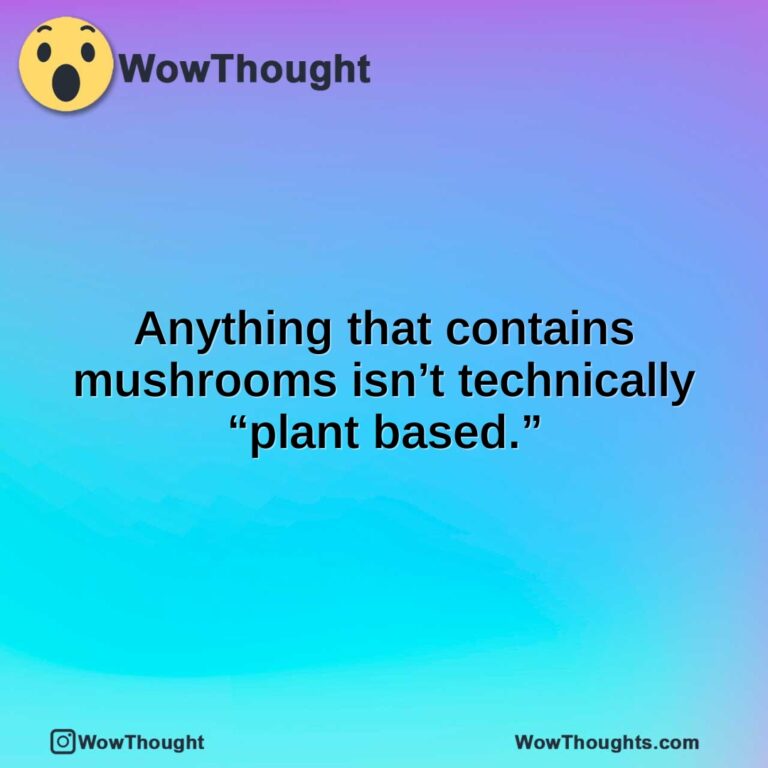 Anything that contains mushrooms isn’t technically “plant based.”