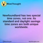 Newfoundland has two special time zones, not one. Its standard and daylight savings time zones are both unique worldwide.