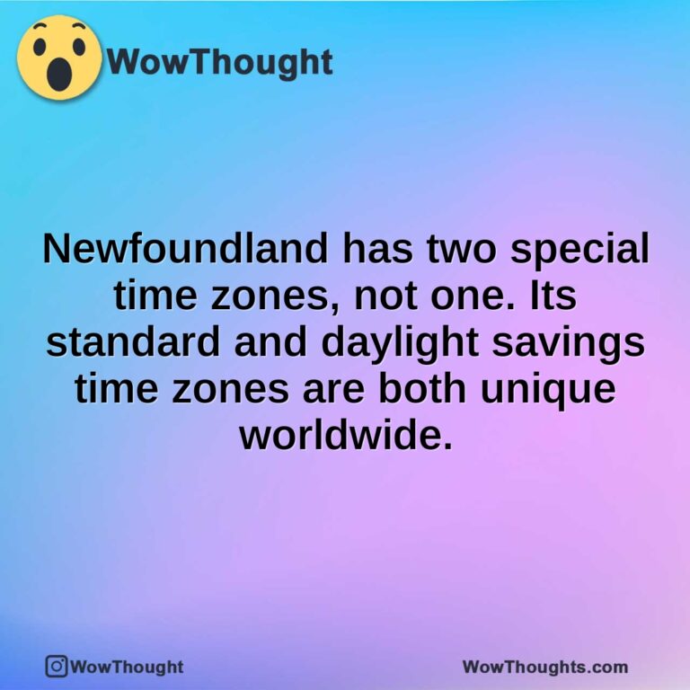 Newfoundland has two special time zones, not one. Its standard and daylight savings time zones are both unique worldwide.