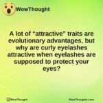 A lot of “attractive” traits are evolutionary advantages, but why are curly eyelashes attractive when eyelashes are supposed to protect your eyes?