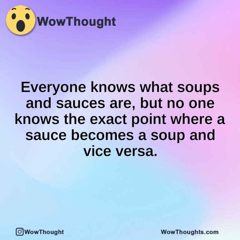 Everyone knows what soups and sauces are, but no one knows the exact point where a sauce becomes a soup and vice versa.