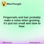 Fingernails and hair probably make a noise when growing, it’s just too small and slow to hear.