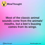 Most of the classic animal sounds come from the animals’ mouths, but a bee’s buzzing comes from its wings.