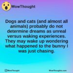 Dogs and cats (and almost all animals) probably do not determine dreams as unreal versus waking experiences. They may wake up wondering what happened to the bunny I was just chasing.