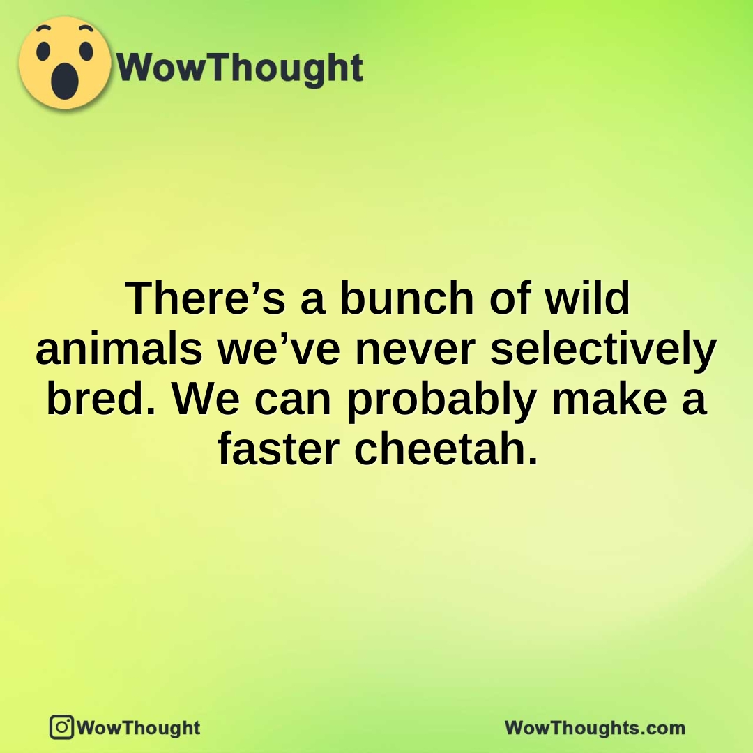 There’s a bunch of wild animals we’ve never selectively bred. We can probably make a faster cheetah.