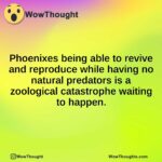 Phoenixes being able to revive and reproduce while having no natural predators is a zoological catastrophe waiting to happen.