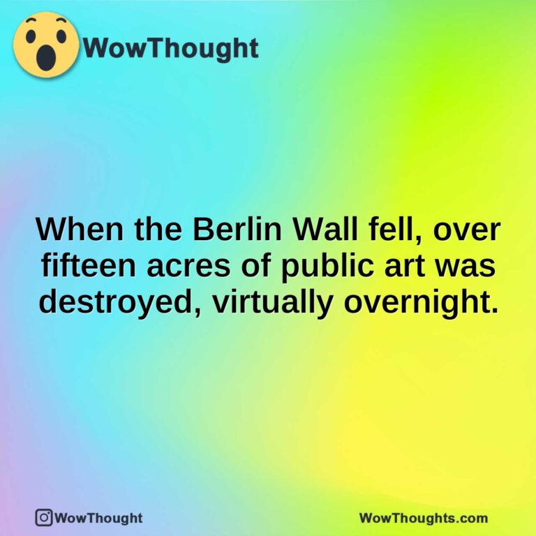 When the Berlin Wall fell, over fifteen acres of public art was destroyed, virtually overnight.