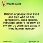 Billions of people have lived and died who no one remembers, but a specific, individual spider I let crawl on my arm 30 years ago exists in living human memory.