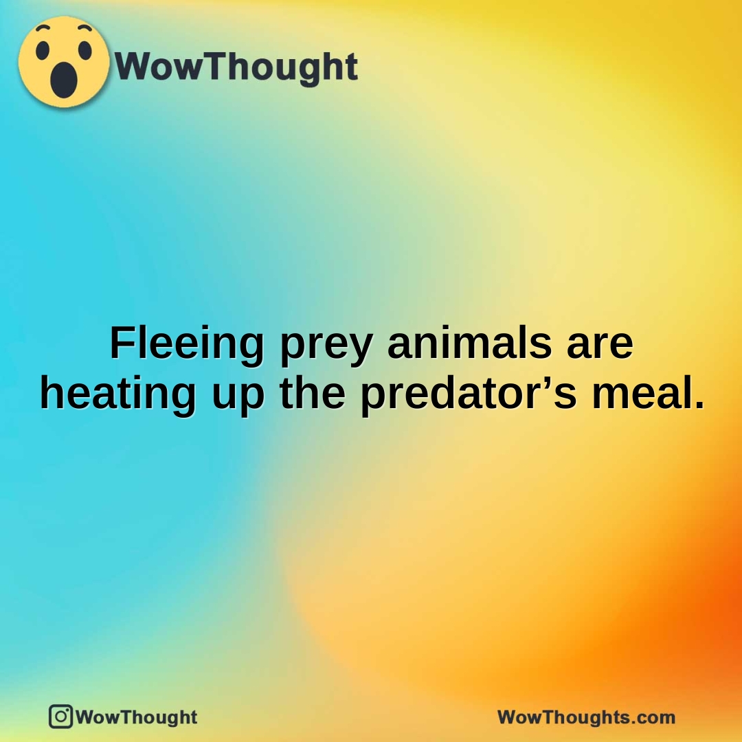 Fleeing prey animals are heating up the predator’s meal.