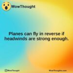 Planes can fly in reverse if headwinds are strong enough.