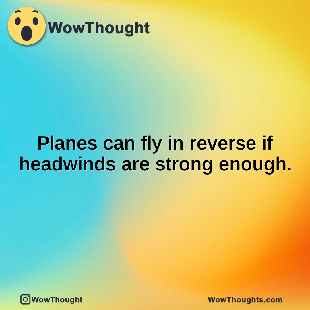 Planes can fly in reverse if headwinds are strong enough.