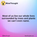 Most of us live our whole lives surrounded by trees and plants we can’t even name.
