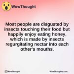 Most people are disgusted by insects touching their food but happily enjoy eating honey, which is made by insects regurgitating nectar into each other’s mouths.