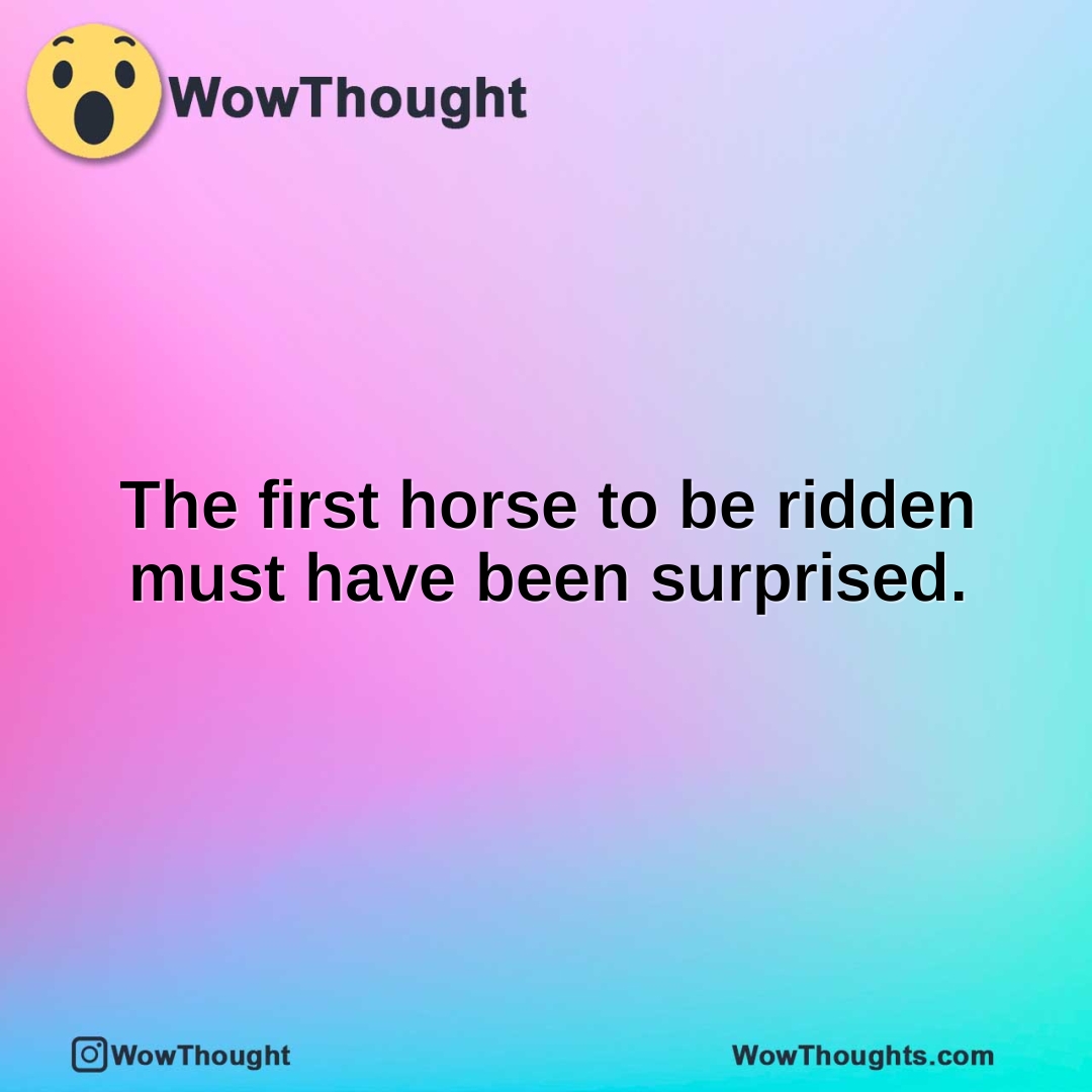 The first horse to be ridden must have been surprised.