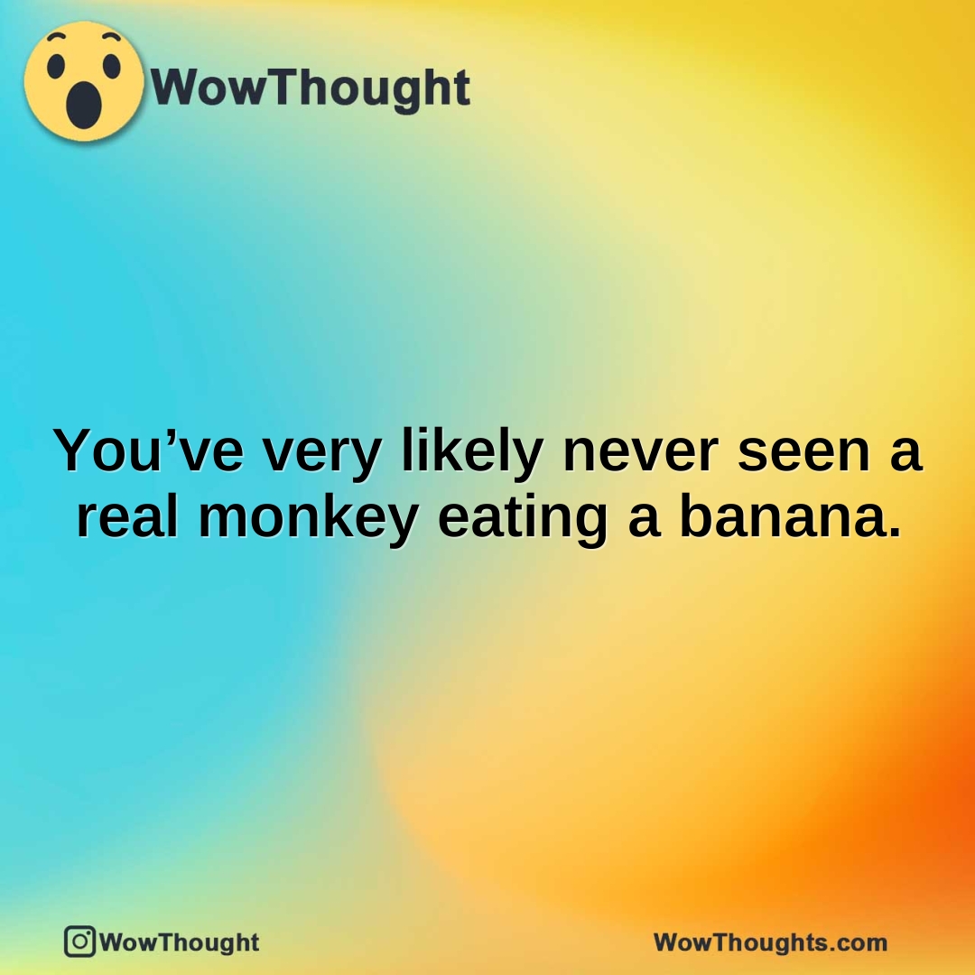 You’ve very likely never seen a real monkey eating a banana.