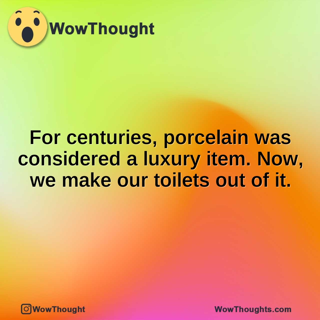 For centuries, porcelain was considered a luxury item. Now, we make our toilets out of it.