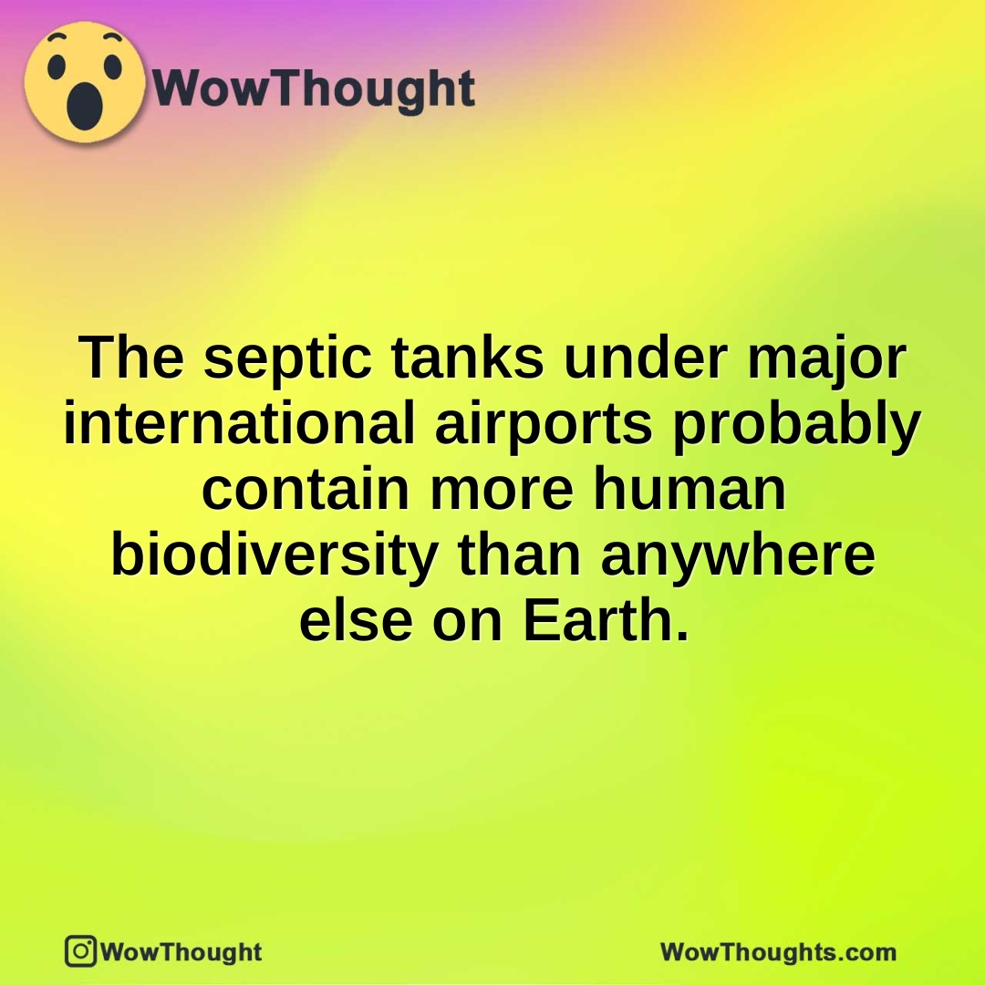 The septic tanks under major international airports probably contain more human biodiversity than anywhere else on Earth.