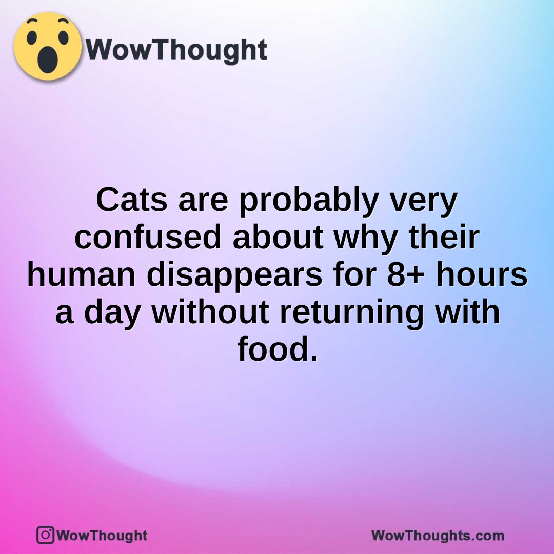 Cats are probably very confused about why their human disappears for 8+ hours a day without returning with food.