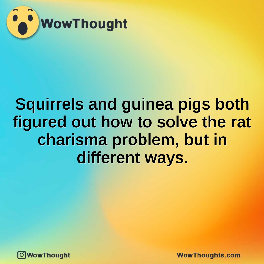 Squirrels and guinea pigs both figured out how to solve the rat charisma problem, but in different ways.