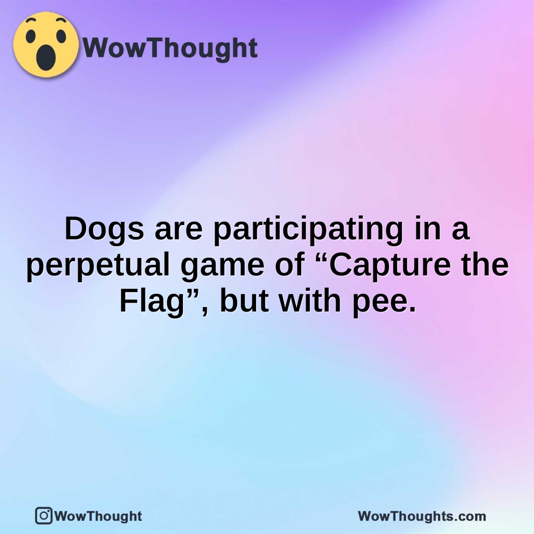 Dogs are participating in a perpetual game of “Capture the Flag”, but with pee.